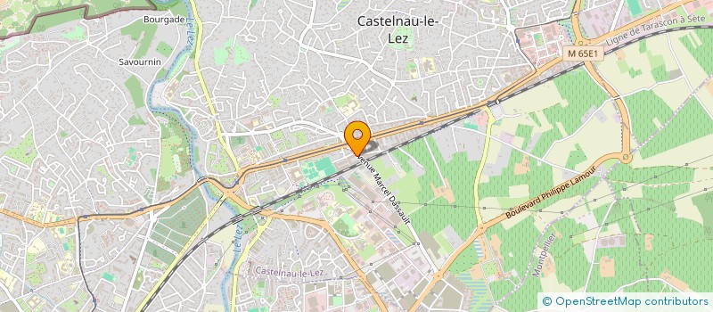 localisation de l'entreprise 819 987 181 à CASTELNAU-LE-LEZ