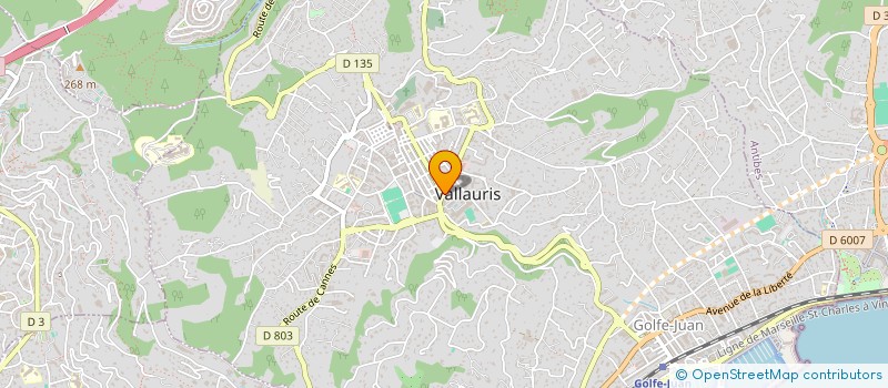 localisation de l'entreprise 820 225 456   VALLAURIS