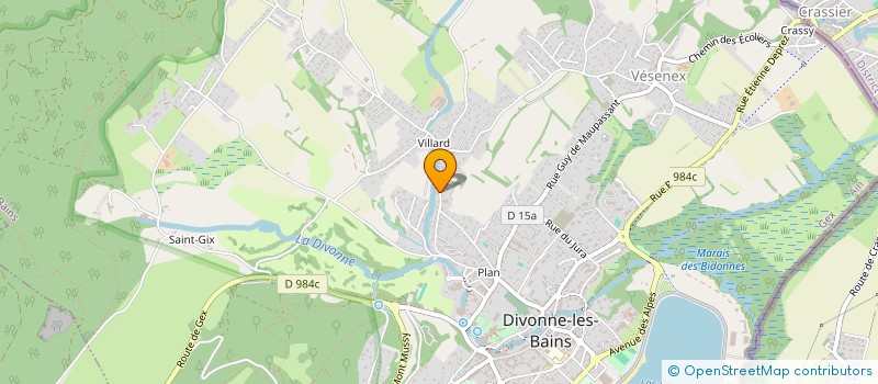 localisation de l'entreprise 821 804 499 à DIVONNE-LES-BAINS