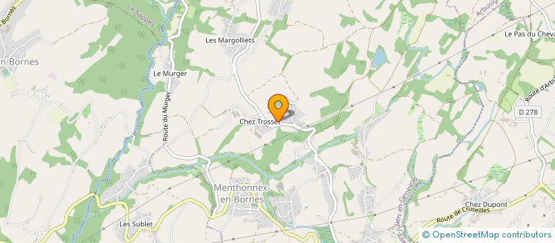 localisation de l'entreprise 822 196 036   MENTHONNEX-EN-BORNES