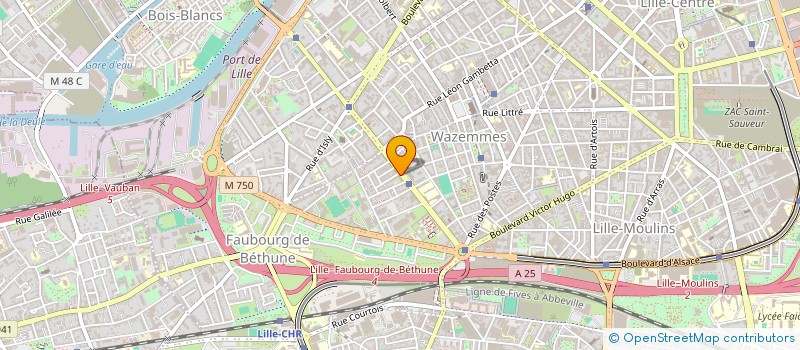 localisation de l'entreprise 822 207 726 à LILLE