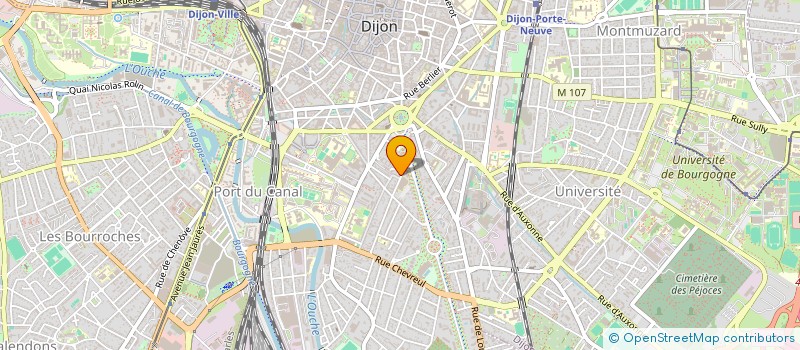 localisation de l'entreprise 822 295 531 à DIJON