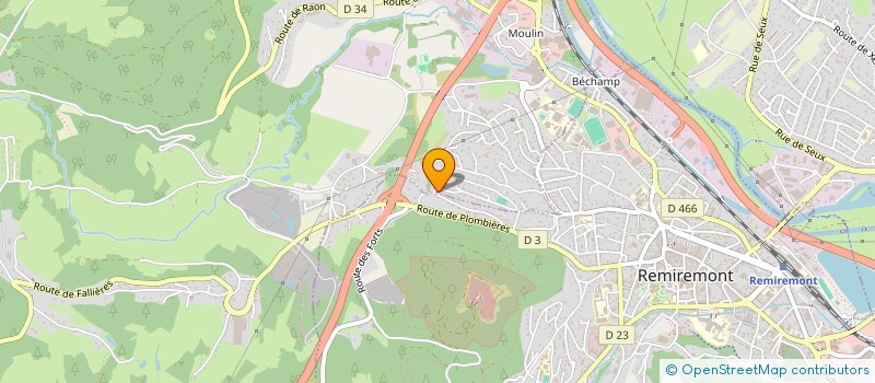 localisation de l'entreprise 823 199 781   REMIREMONT