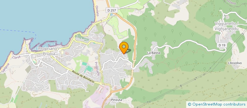 localisation de l'entreprise 824 240 337   VIGGIANELLO