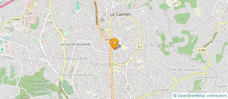 localisation de l'entreprise 824 705 628 à LE CANNET