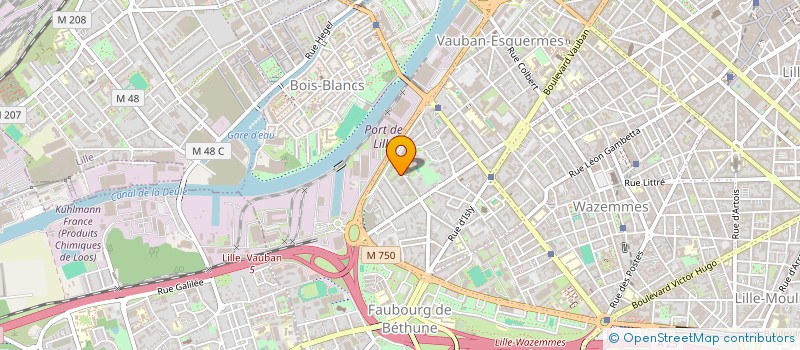 localisation de l'entreprise 825 086 309   LILLE