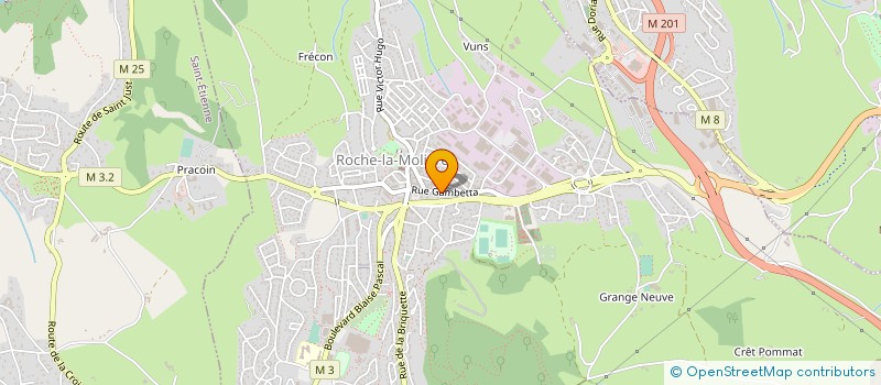 localisation de l'entreprise 825 147 762   LA RICAMARIE