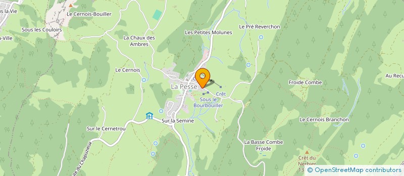 localisation de l'entreprise 825 209 133   LA PESSE