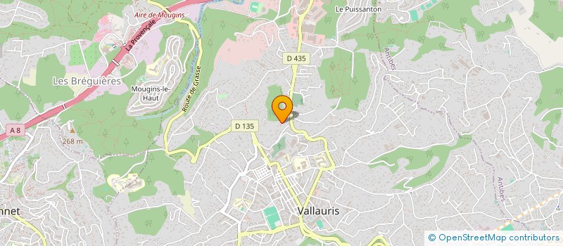 localisation de l'entreprise 828 667 287 à VALLAURIS