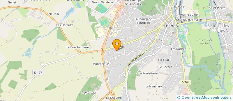 localisation de l'entreprise 828 813 170   TOURS