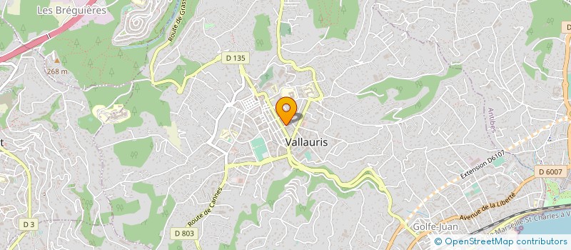 localisation de l'entreprise 828 814 707 à VALLAURIS