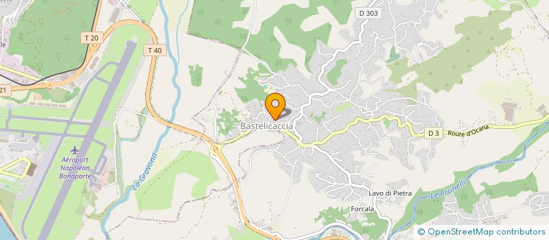 localisation de l'entreprise 829 071 695 à BASTELICACCIA