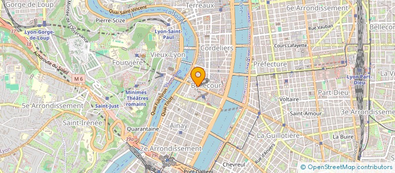 localisation de l'entreprise 829 158 039  à LYON