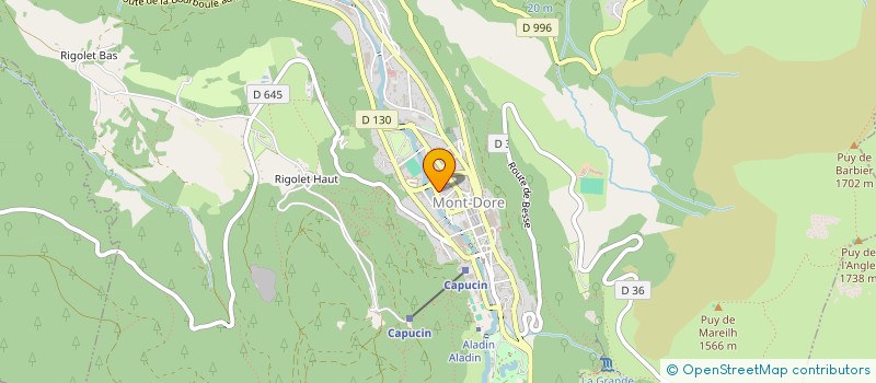 localisation de l'entreprise 829 311 364   MONT-DORE