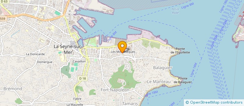 localisation de l'entreprise 830 039 483   LA SEYNE-SUR-MER