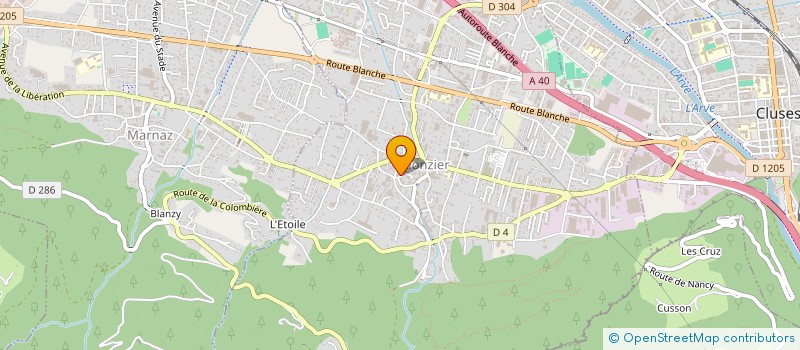 localisation de l'entreprise 830 155 511   SCIONZIER