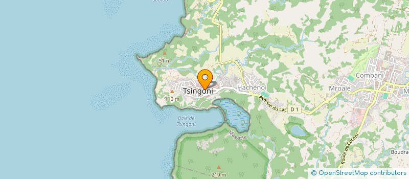 localisation de l'entreprise 830 329 488 à TSINGONI