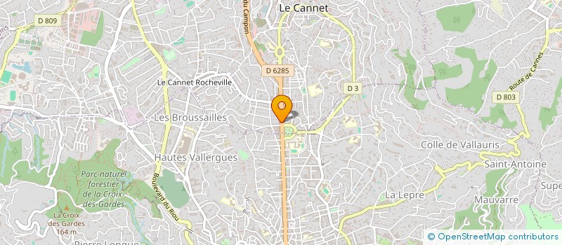localisation de l'entreprise 831 460 266 à CANNES