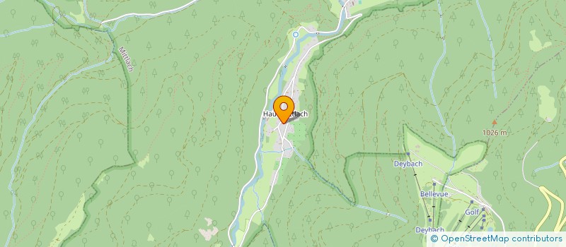 localisation de l'entreprise 831 919 220   MITTLACH