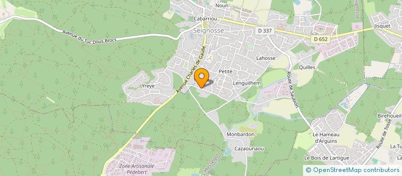 localisation de l'entreprise 832 009 732   SEIGNOSSE