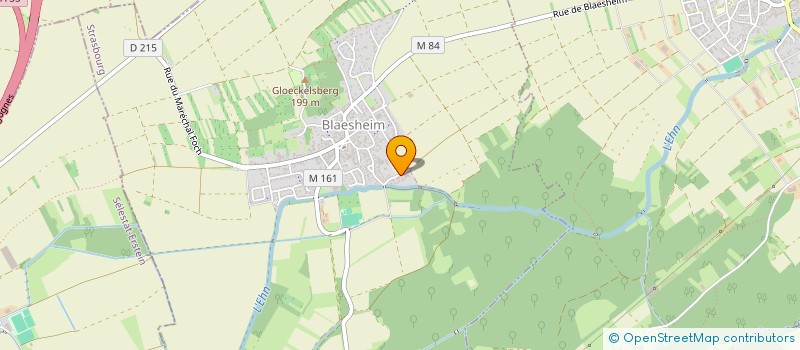 localisation de l'entreprise 833 006 984 à BLAESHEIM