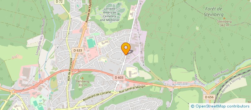 localisation de l'entreprise 833 031 172   SAINT-AVOLD