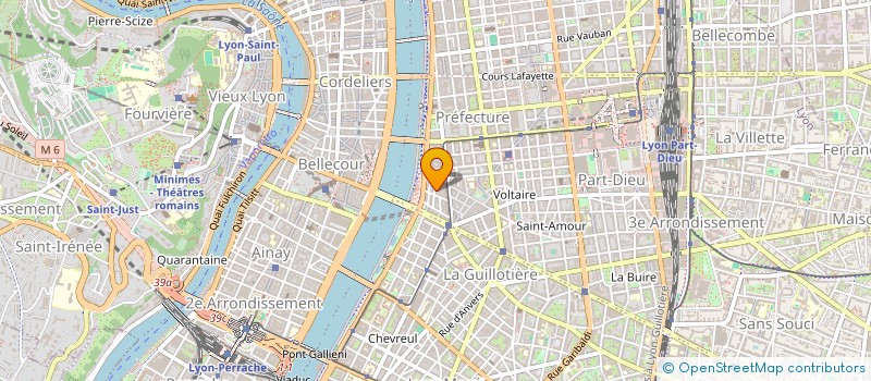 localisation de l'entreprise 833 131 832   LYON