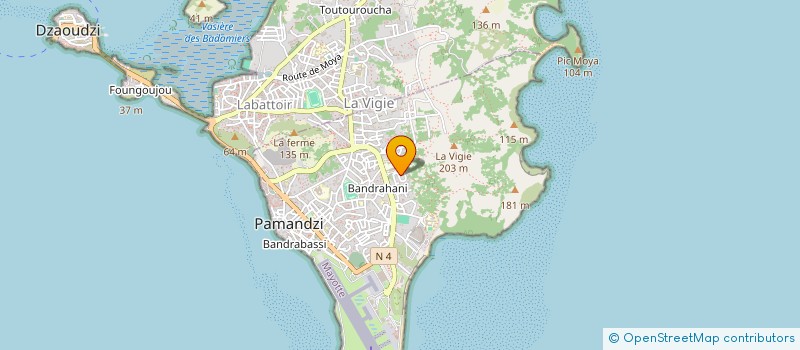 localisation de l'entreprise 833 335 979   SAINT-LEGER-DU-BOURG-DENIS