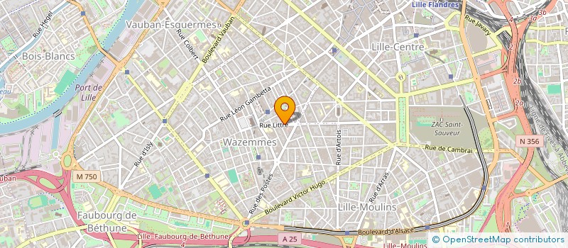 localisation de l'entreprise 833 494 867 à LILLE