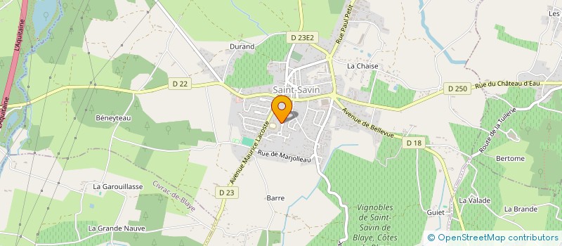 localisation de l'entreprise 833 510 720   SAINT-SAVIN