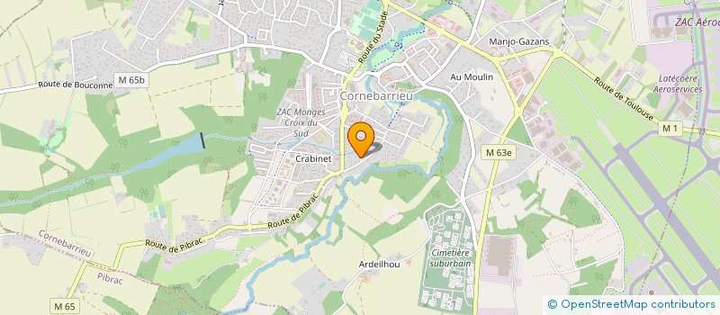 localisation de l'entreprise 838 313 666   CORNEBARRIEU