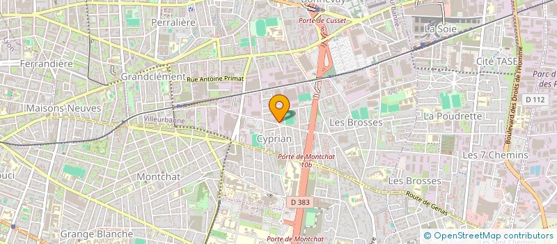 localisation de l'entreprise 838 332 609   VILLEURBANNE