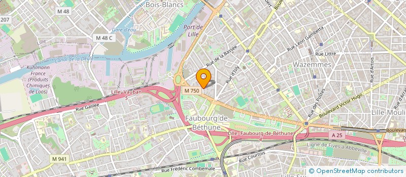 localisation de l'entreprise 838 363 679   LILLE