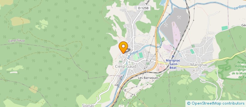 localisation de l'entreprise 838 594 349   CIERP-GAUD