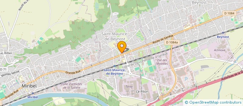 localisation de l'entreprise 838 650 562   NEUVILLE-SUR-SAONE