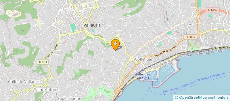 localisation de l'entreprise 838 713 394 à VALLAURIS