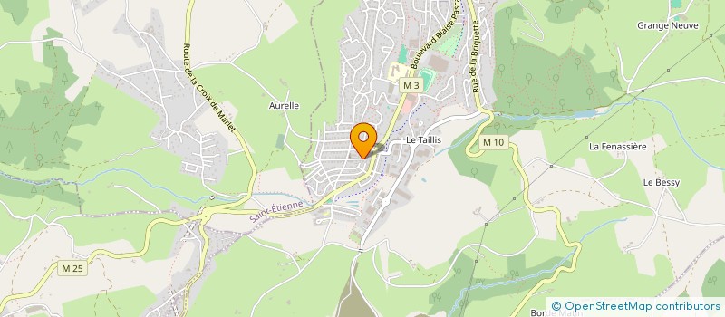 localisation de l'entreprise 838 990 570   ROCHE-LA-MOLIERE