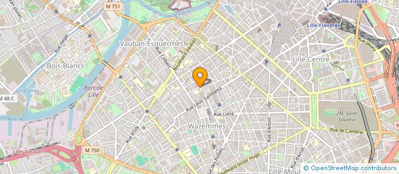 localisation de l'entreprise 839 118 551  à LYON