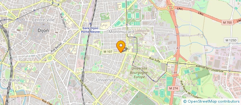 localisation de l'entreprise 839 285 749 à DIJON