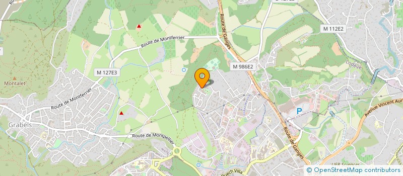 localisation de l'entreprise 839 309 267   FRANCHEVILLE