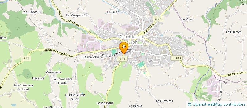localisation de l'entreprise 840 479 984   CHAZELLES-SUR-LYON