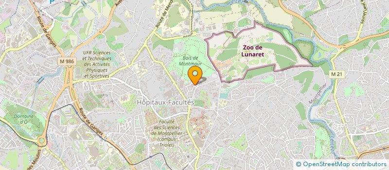localisation de l'entreprise 841 466 295 à MONTPELLIER