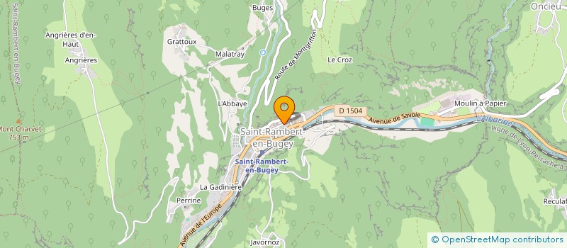 localisation de l'entreprise 841 918 709   SAINT-RAMBERT-EN-BUGEY