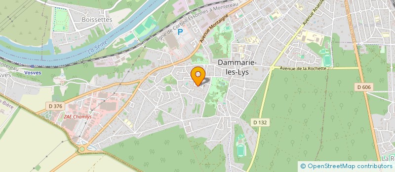 localisation de l'entreprise 842 502 874 à DAMMARIE-LES-LYS
