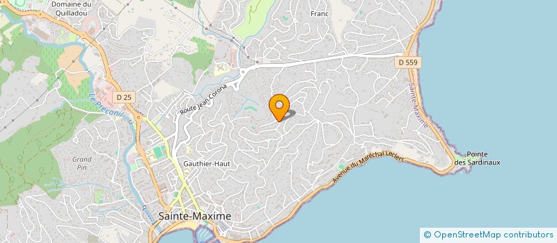 localisation de l'entreprise 843 317 991 à SAINTE-MAXIME