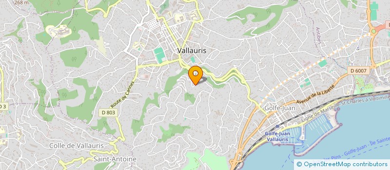 localisation de l'entreprise 843 803 503   MOUANS-SARTOUX