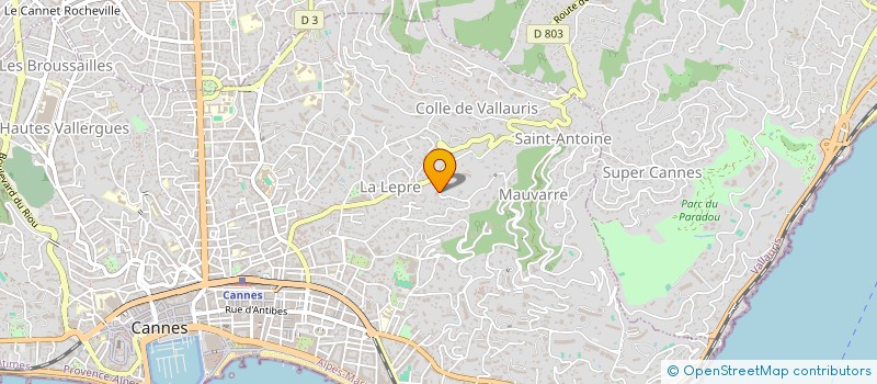 localisation de l'entreprise 844 710 228 à CANNES