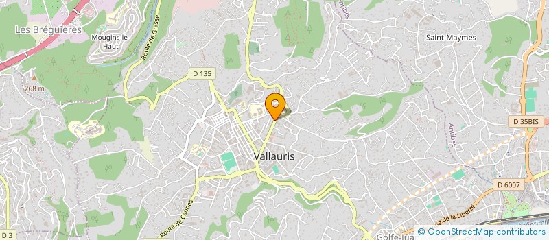 localisation de l'entreprise 845 295 385   VALLAURIS