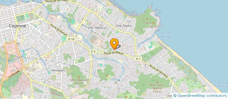 localisation de l'entreprise 847 851 169   CAYENNE