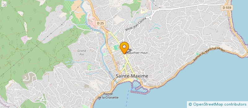 localisation de l'entreprise 848 205 787 à SAINTE-MAXIME